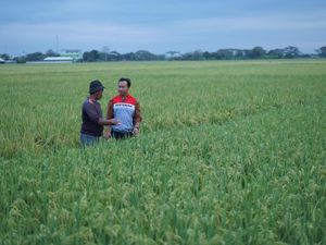 Desa Energi Berdikari di Indramayu Wujudkan Ketahanan Pangan & Energi