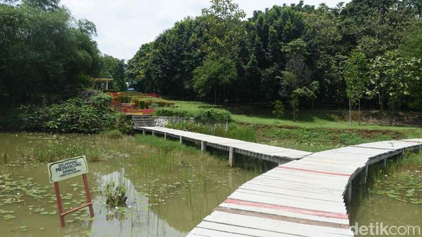 Intip Keindahan Tersembunyi di Kebun Raya Cibinong