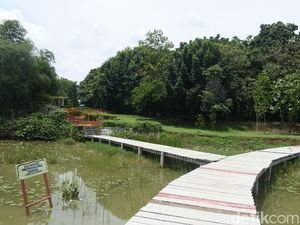 Intip Keindahan Tersembunyi di Kebun Raya Cibinong Intip Keindahan Tersembunyi di Kebun Raya Cibinong