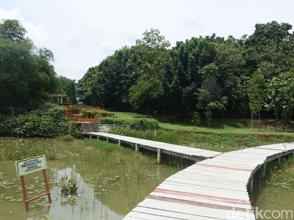Intip Keindahan Tersembunyi di Kebun Raya Cibinong