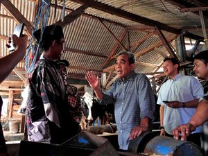 Ketua MPR Terima Keluhan Peternak Sapi soal Harga Susu Terlalu Rendah