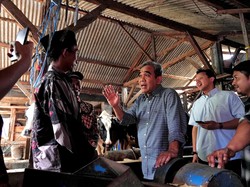 Ketua MPR Terima Keluhan Peternak Sapi soal Harga Susu Terlalu Rendah