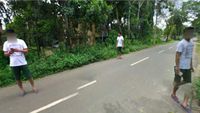 Momen Tak Terduga di Jalanan yang Terekam Google Street View