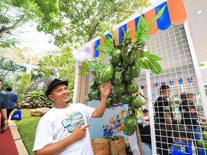 Lewat BRI Klasterku Hidupku, Petani Berhasil Kembangkan Budidaya Alpukat Lewat BRI Klasterku Hidupku, Petani Berhasil Kembangkan Budidaya Alpukat