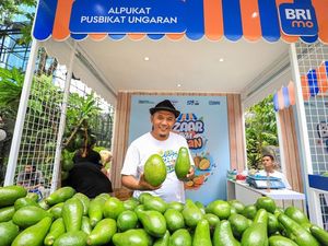 Petani di Semarang Panen Alpukat 2 Ton/Hari, Ini Rahasianya Petani di Semarang Panen Alpukat 2 Ton/Hari, Ini Rahasianya
