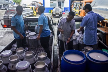 Melihat Kebutuhan Susu Nasional