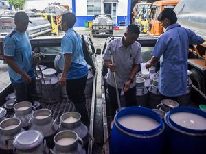 Melihat Kebutuhan Susu Nasional Melihat Kebutuhan Susu Nasional