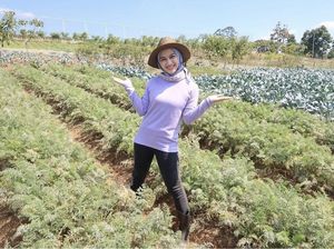 Gaya Melody Laksani Jadi Petani Cantik, Ramai Dibandingkan Dengan Raffi Ahmad Gaya Melody Laksani Jadi Petani Cantik, Ramai Dibandingkan Dengan Raffi Ahmad