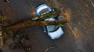 Mobil-mobil di Seattle Ini Ringsek Tertimpa Pohon