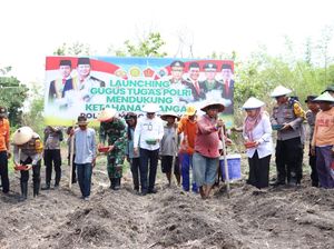Baru Diluncurkan, Gustug Ketahanan Pangan Tanam Jagung 1,5 Ha di Mojokerto