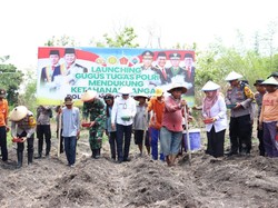 Baru Diluncurkan, Gustug Ketahanan Pangan Tanam Jagung 1,5 Ha di Mojokerto