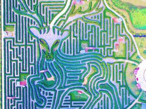 Ada Labirin Raksasa di China, Lengah Dikit Bisa Nyasar Berjam-jam