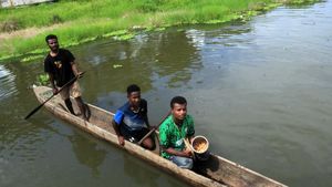 Festival Ulat Sagu Jadi Eko Wisata di Sentani