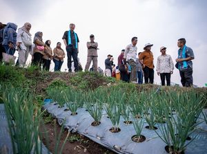 Pemkab Malang Terima Hibah Rp 39 M untuk Bantu Petani Bawang Merah Pemkab Malang Terima Hibah Rp 39 M untuk Bantu Petani Bawang Merah
