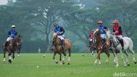 Melihat Pusat Latihan Polo Satu-satunya di Indonesia