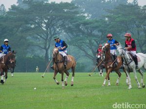 Melihat Pusat Latihan Polo Satu-satunya di Indonesia