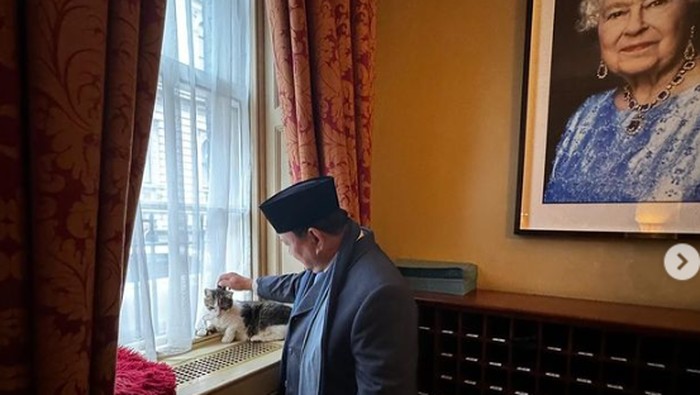 Momen Prabowo bertemu kucing paling tenar seantero Inggris, Larry the cat. Foto: Dok. Instagram @prabowo.