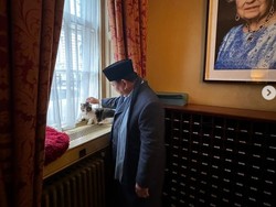 Momen Prabowo Bertemu Larry The Cat, Kepala Pemburu Tikus Kantor PM Inggris