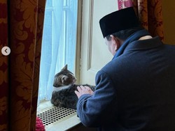 Cerita di Balik Momen Prabowo Elus Larry The Cat di Kantor PM Inggris