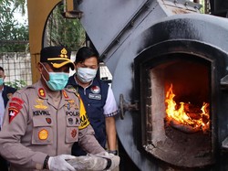 Polres OKU Timur Musnahkan 35 Kg Ganja yang Sempat Dikirim ke Jakarta