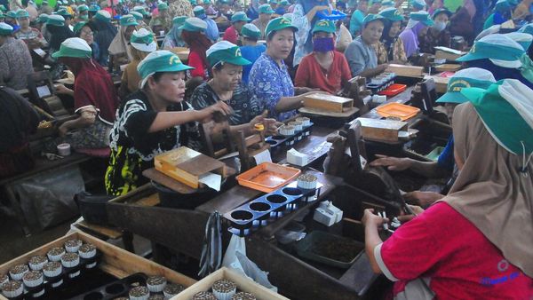 Potret Ibu-ibu Produksi Rokok di Kudus
