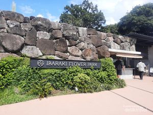 Menikmati Indahnya Taman Bunga Ibaraki di Jepang Menikmati Indahnya Taman Bunga Ibaraki di Jepang
