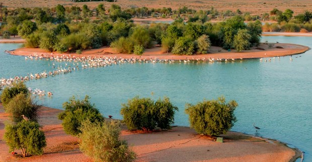 Al Marmoom/Foto: www.getyourguide.com Al Marmoom/Foto: www.getyourguide.com