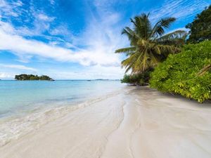 Prancis Akan Larang Merokok di Pantai-Taman-Halte Bus Mulai 29 Juni Prancis Akan Larang Merokok di Pantai-Taman-Halte Bus Mulai 29 Juni