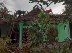 Desa Perbatasan Klaten-Gunungkidul Diterjang Hujan Angin, Pohon dan Rumah Roboh