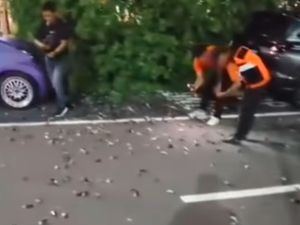 Fenomena Burung Pipit Mati Massal di Bandara Ngurah Rai dan Penyebabnya Fenomena Burung Pipit Mati Massal di Bandara Ngurah Rai dan Penyebabnya