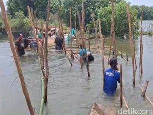 Jebol 10 Meter, Tanggul Sungai Bremi Pekalongan Ditambal Karung Isi Tanah