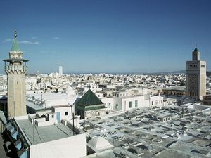 Madinah Tunis, Kota Arab-Muslim Terbesar dan Terkaya pada Masanya