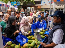 Petani Mangga Bondowoso Mampu Raup Puluhan Juta/Bulan