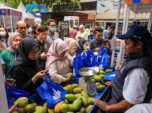 Diberdayakan BRI, Petani Mangga Mampu Perluas Lahan-Perbaiki Taraf Hidup Diberdayakan BRI, Petani Mangga Mampu Perluas Lahan-Perbaiki Taraf Hidup