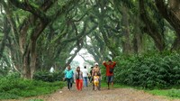 Libur Long Weekend, 47 Ribu Wisatawan Serbu Banyuwangi-Penginapan Penuh