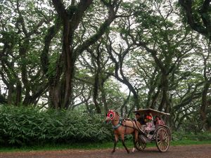 10 Lokasi Wisata Wajib di Banyuwangi yang Tak Boleh Dilewatkan