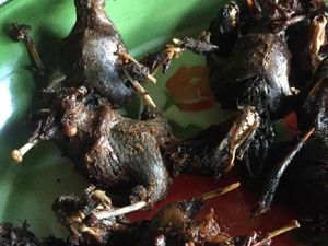 5 Makanan Ekstrem Gunung Kidul, Ulat Jati hingga Kelelawar 5 Makanan Ekstrem Gunung Kidul, Ulat Jati hingga Kelelawar