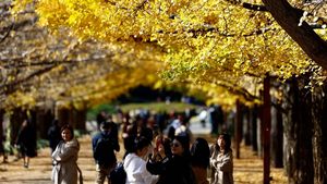 Menikmati Keindahan Daun Kuning Musim Gugur di Taman Jepang