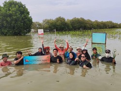 Komitmen PT GNI Dukung Keberlanjutan Lewat Penanaman Mangrove