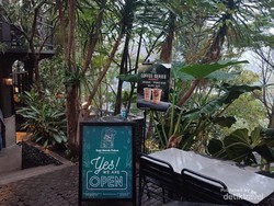 Sejenak Nikmati Sejuknya Bandung di Kafe Kopi Bawah Pohon