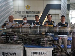 Perdagangan 846 Lembar Kulit Ular Ilegal ke Malaysia Digagalkan di Asahan