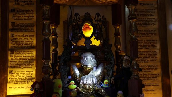 Heboh! Gereja di Spanyol Sembah Bebek