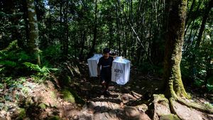 Melihat Distribusi Logistik Pilkada di Pedalaman Suku Badui