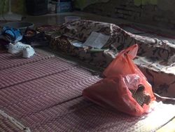 Video: Miris Perundungan Siswa SD di Subang, Korban Koma Sampai Akhirnya Wafat