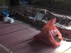 Video: Miris Perundungan Siswa SD di Subang, Korban Koma Sampai Akhirnya Wafat