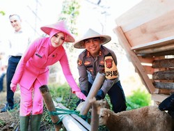Menilik Kebun Ketahanan Pangan di Asrama Polres Sukabumi