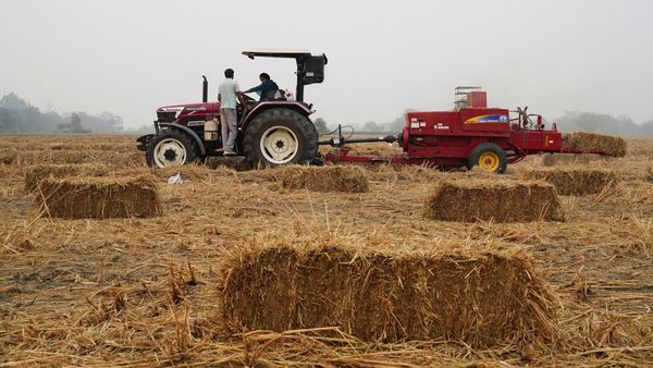 Potret Petani India Adopsi Metode Ramah Lingkungan untuk Melawan Polusi