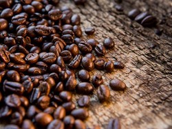 Konsumsi Kopi di Indonesia Diproyeksi Meningkat hingga 600 Ribu Kg