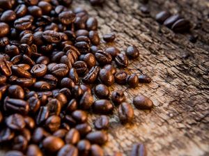 Konsumsi Kopi di Indonesia Diproyeksi Meningkat hingga 600 Ribu Kg Konsumsi Kopi di Indonesia Diproyeksi Meningkat hingga 600 Ribu Kg