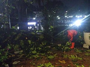Angin Kencang Bikin Dahan Pohon Patah Timpa Motor di Kantor DPRD Bogor